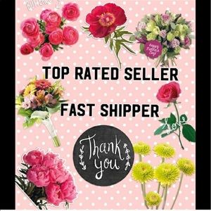 Ships 🚢 next day!